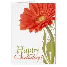 Happy Birthday | Orange Gerbera Daisy Greeting Cards