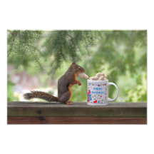 Happy Birthday Squirrel Photo