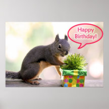 Happy Birthday Squirrel Posters