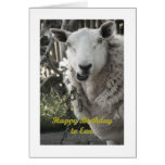 Happy Birthday to Ewe Greeting Card