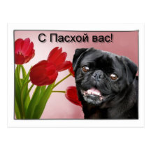 Happy Easte Black pug dog greeting card Postcards