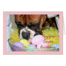 Happy Easter Birthday  Boxer greeting card