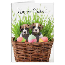 Happy Easter boxer pups card