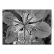 Happy Easter Cards