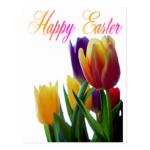 Happy Easter Tulips Greeting Cards Post Card