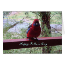Happy Father's Day Greeting Cards