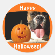 Happy Halloween Boxer stickers