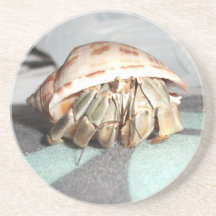Happy Hermit Coasters
