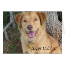 Happy Holidays 2883 Cards