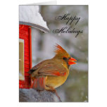 Happy Holidays Female Cardinal