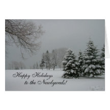 Happy Holidays to the Newlyweds-Winter snow-scene Greeting Card
