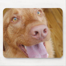 Happy Lab Mouse Pads