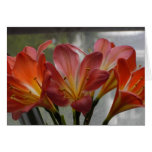 Happy Mother's Day Cards
