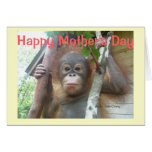 Happy Mother's Day cards