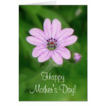 Happy Mother's Day! cards