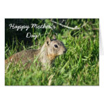Happy Mother's Day Chimpmunk greeting card