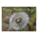 Happy Mother's Day! cards