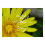 Happy Mother's Day! cards