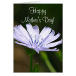 Happy Mother's Day! cards