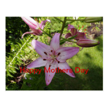 Happy Mothers Day Postcard