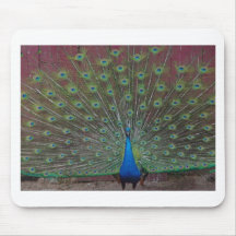 happy peacock mouse pad