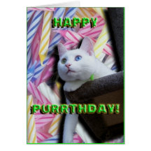 Happy Purrthday! Card