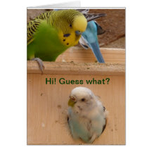 Happy Spring greeting card