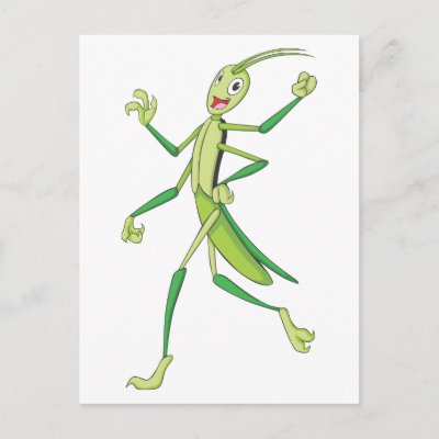 Stick Insect Drawing