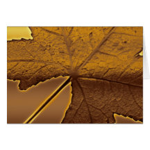 Happy Thanksgiving: Generosity Greeting Cards