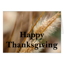Happy Thanksgiving: Thankful for You Greeting Cards