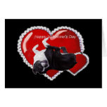 Happy Valentines Boston Greeting Card