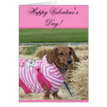 Happy Valentine's Day Dachshund greeting card