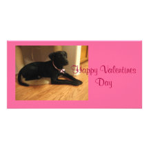 Happy Valentines Day Photo Card Template