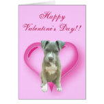 Happy Valentine's Day Pitbull Puppy notecard