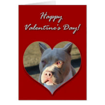Happy Valentine's Day Staffordshire Terrier card