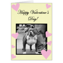Happy Valentine's Day Staffordshire Terrier card