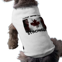 , HARDER, BETTER, FASTER, STRONGER PET TEE