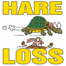 hare loss funny hair loss fable pun cartoon photo cut outs