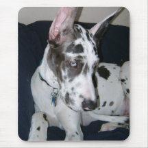 Harlequin Great Dane Puppy Mouse Pad