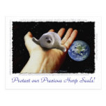 HARP SEAL Earth Day Postcards