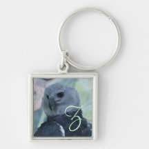 Harpy Eagle Keychain