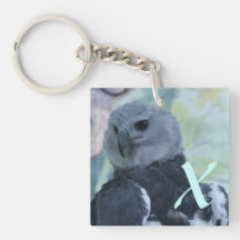 Harpy Eagle Keychains