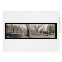 Harvard University MA Photo 1910 Cards