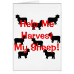 Harvest my sheep greeting card
