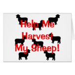 Harvest my sheep greeting cards