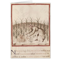 Harvesting Garlic Card