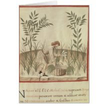 Harvesting Leeks, from 'Tacuinum Sanitatis' Card