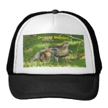 Hat/ Drinking Buddies!