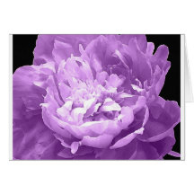 Hatched Purple Peony Greeting Card