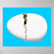 Hatching Egg Print